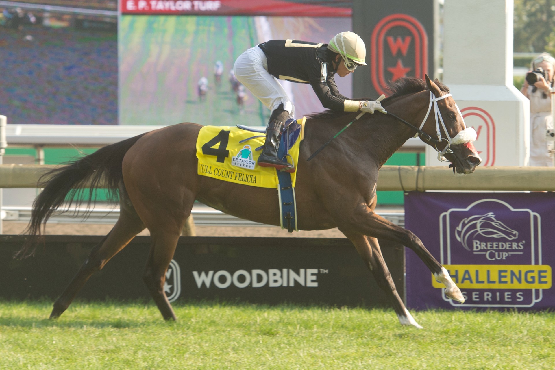 Full Count Felicia shows her heels to stablemate Moira, three others in Grade 1 E.P. Taylor Stakes