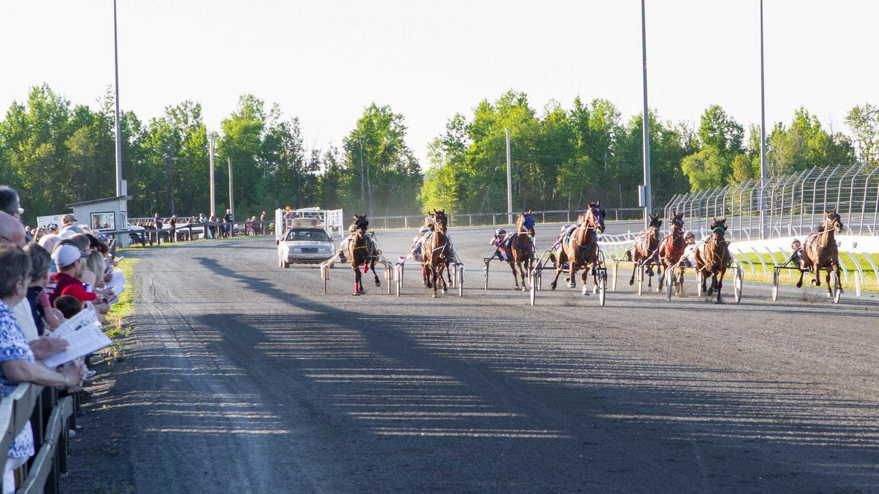 Garnet Barnsdale’s Kawartha Downs Selections: Saturday, September 14, 2019