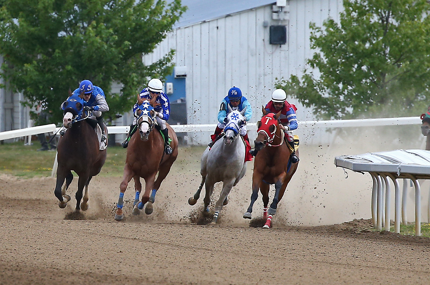 Historic Day at Ajax Downs