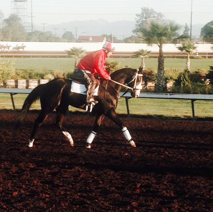 Los Alamitos Diary: Ajax team getting ready