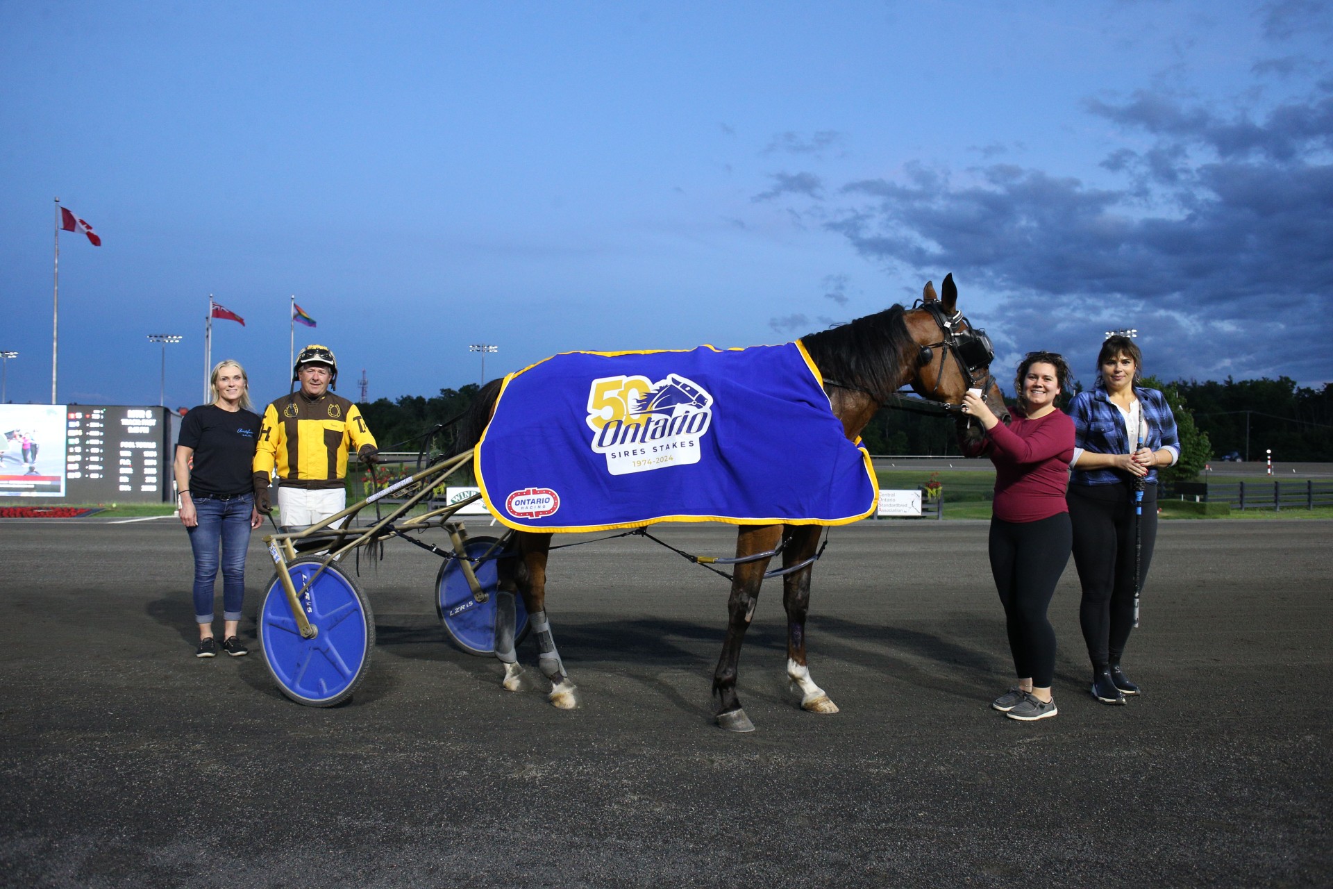 Northern Looker, Myretirementdream score OSS Gold wins at Woodbine Mohawk Park