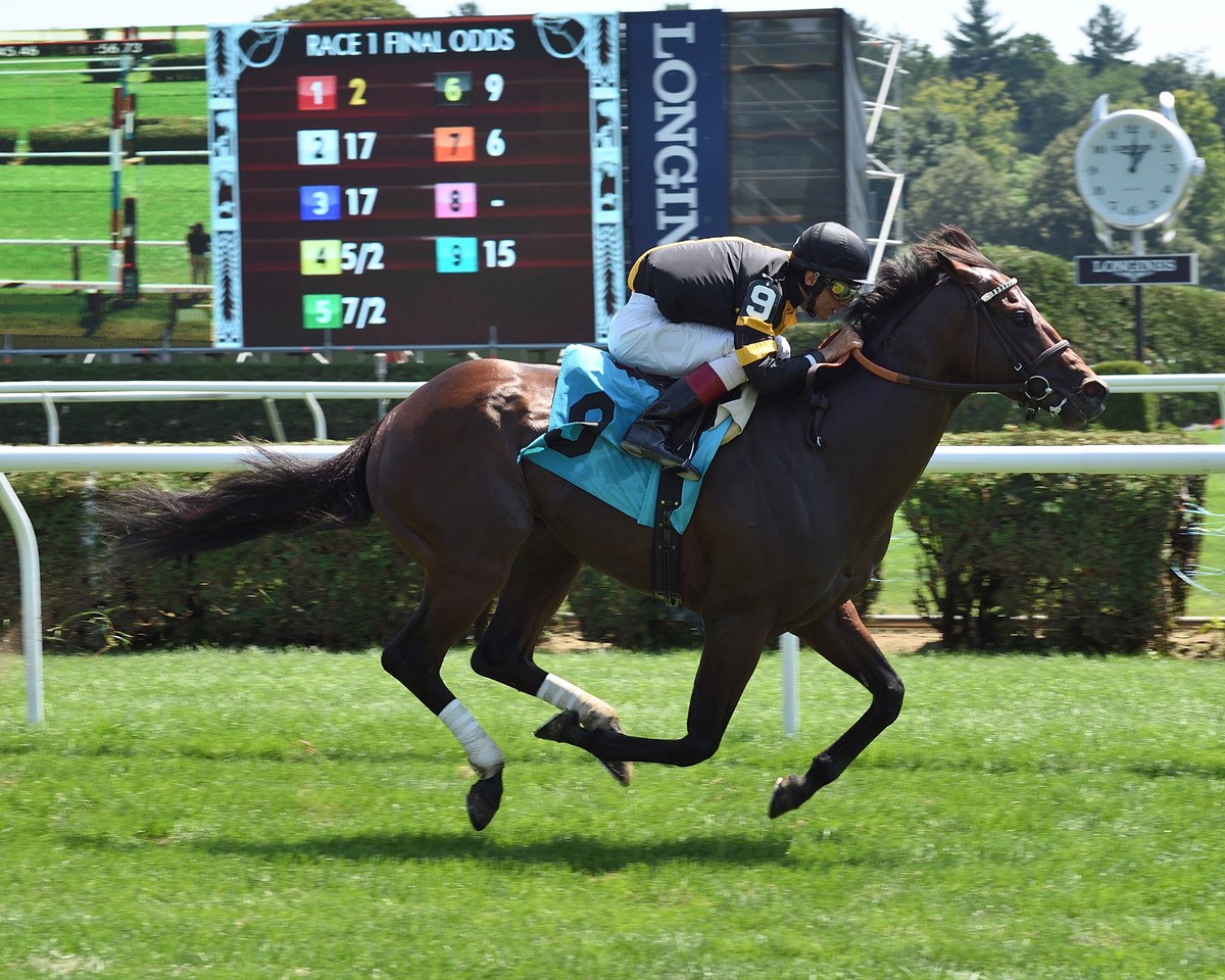 Ontario Racing Stallion Spotlight: Black Eagle