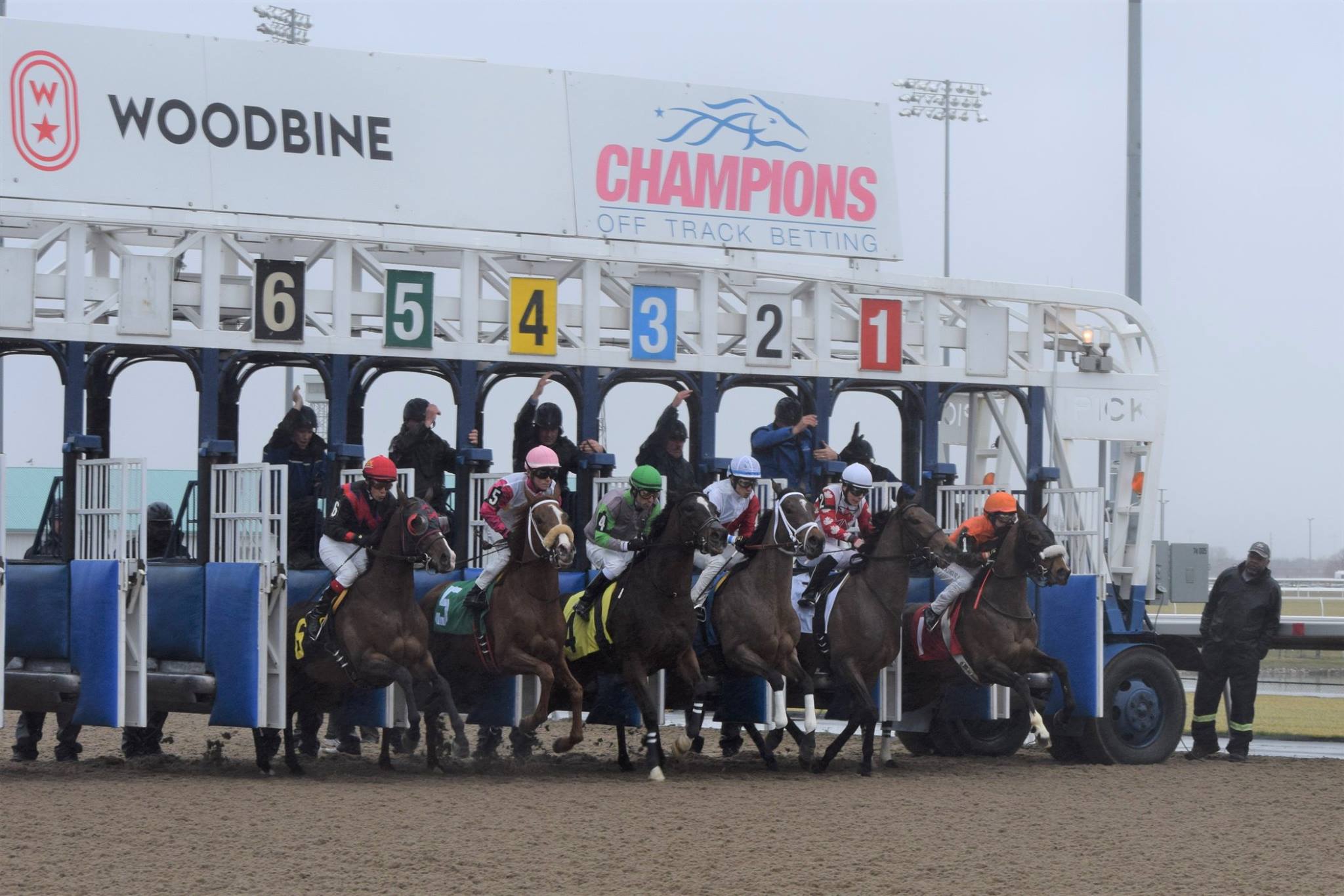 Jennifer Morrison's Woodbine Selections: Saturday, September 21, 2019