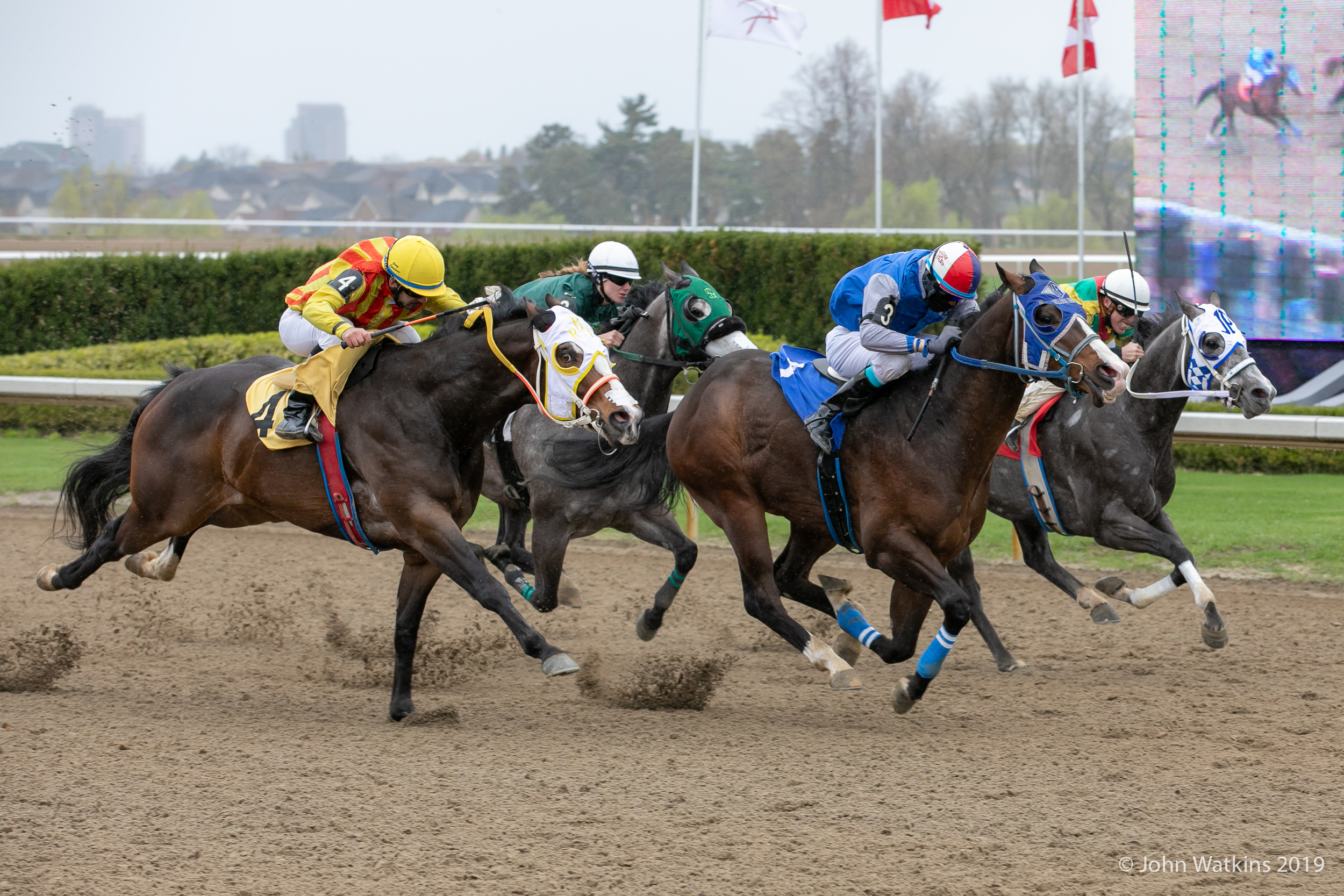 Had To Be Ivory Tops $58,400 Ontario-Bred Maturity; Country Boy 123 Returns