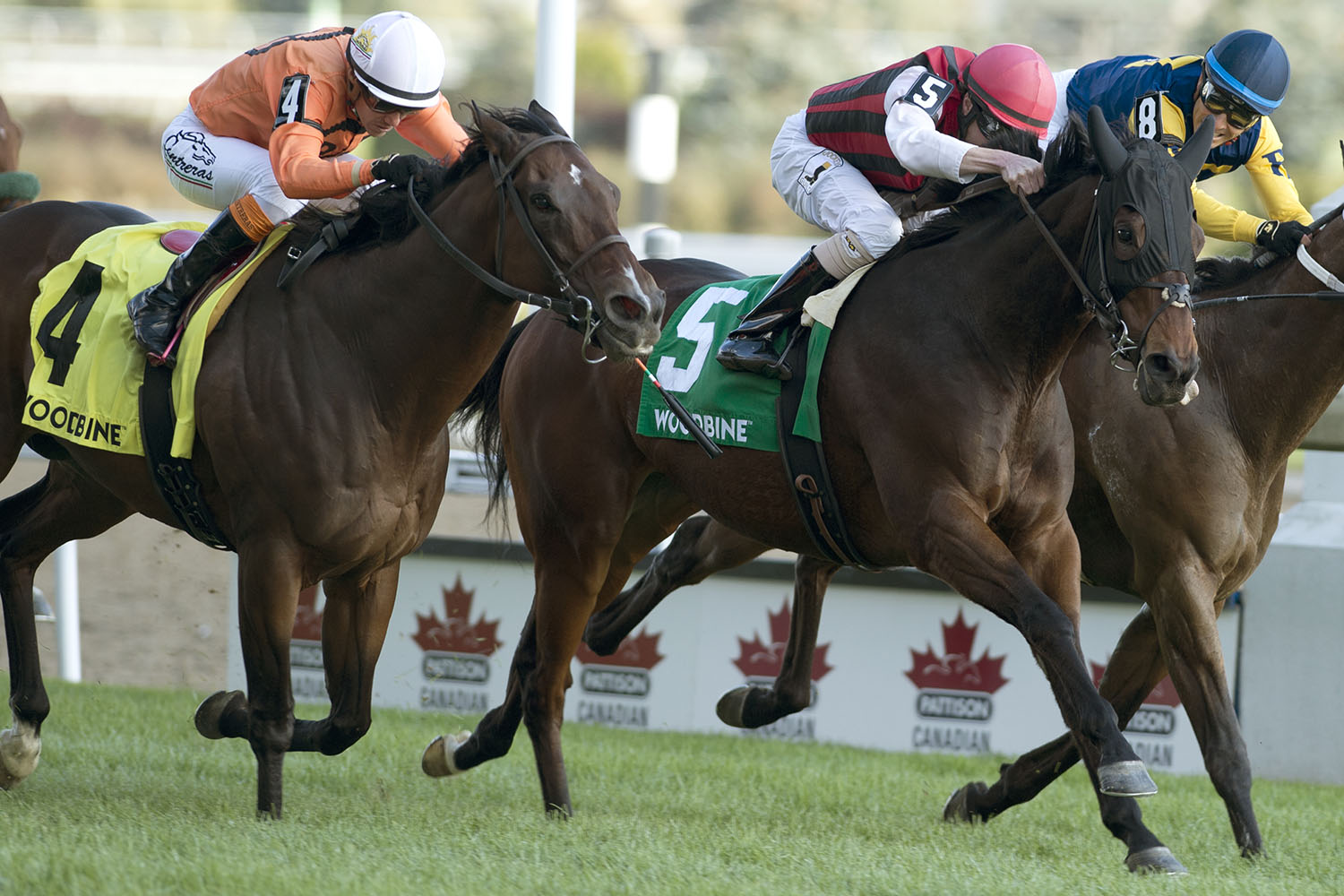 Special Forces looks to force the issue in Grade 2 Autumn; Jesse Campbell back in the saddle for Woodbine weekend races