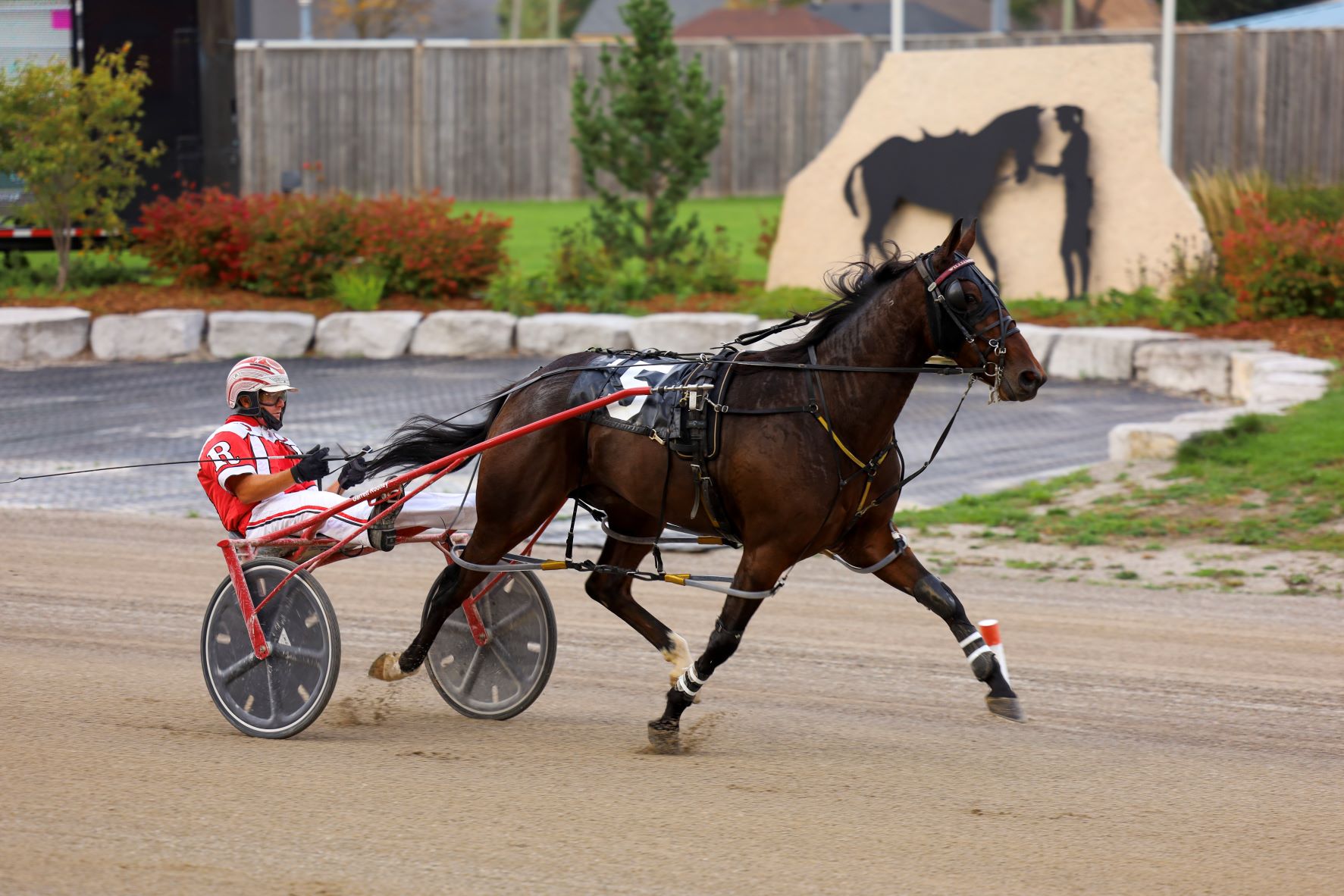 Ontario Racetrack Bet Now – Horse Racing | Ontario Racing - Ontario Racing