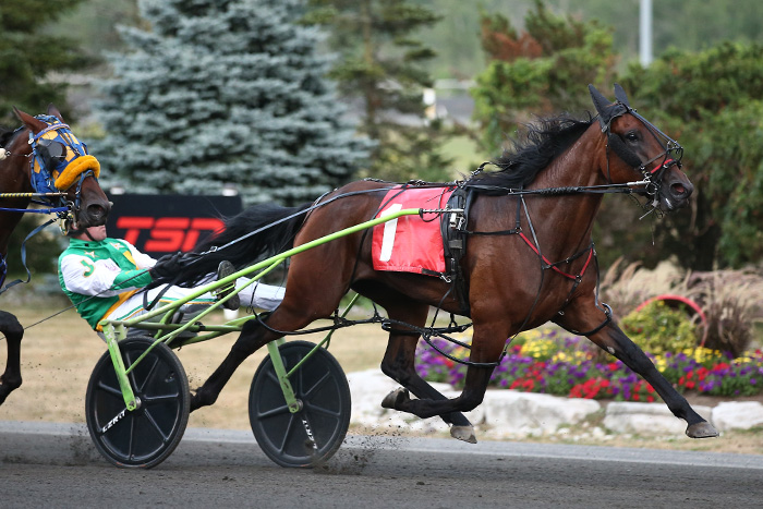 Write Me A Song authors track, OSS and Canadian record