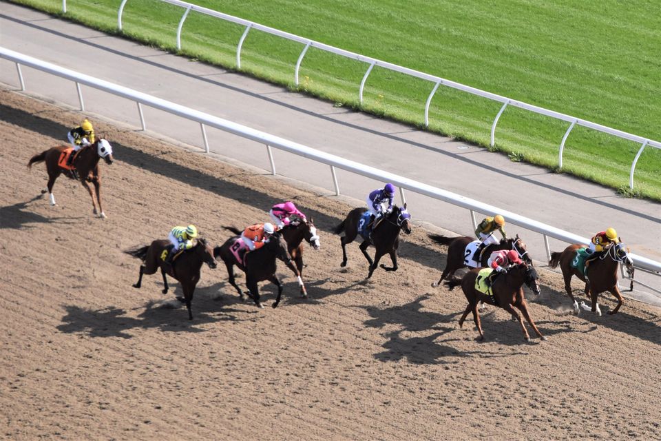 Jennifer Morrison S Woodbine Thoroughbred Selections Thursday November 5 2020 Ontario Racing