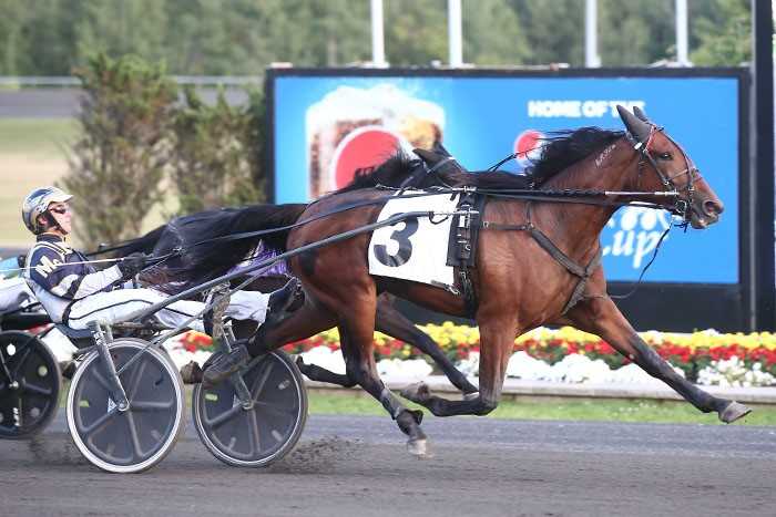 Determination sweeps round two of rookie trots