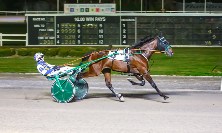 Dabra Day trots into the record books at Flamboro Downs