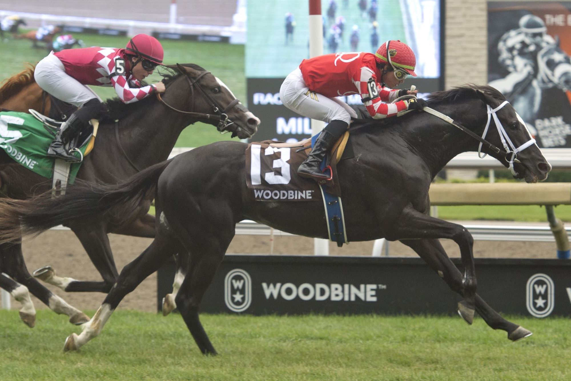 Handicapping Who Will Win the Breeders' Stakes