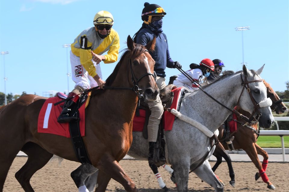 Jennifer Morrison’s Woodbine Thoroughbred Selections: Saturday, October 17, 2020
