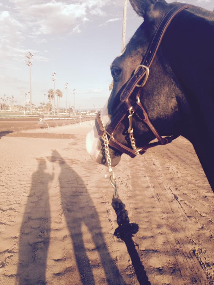 Los Alamitos Diary: Ajax invasion