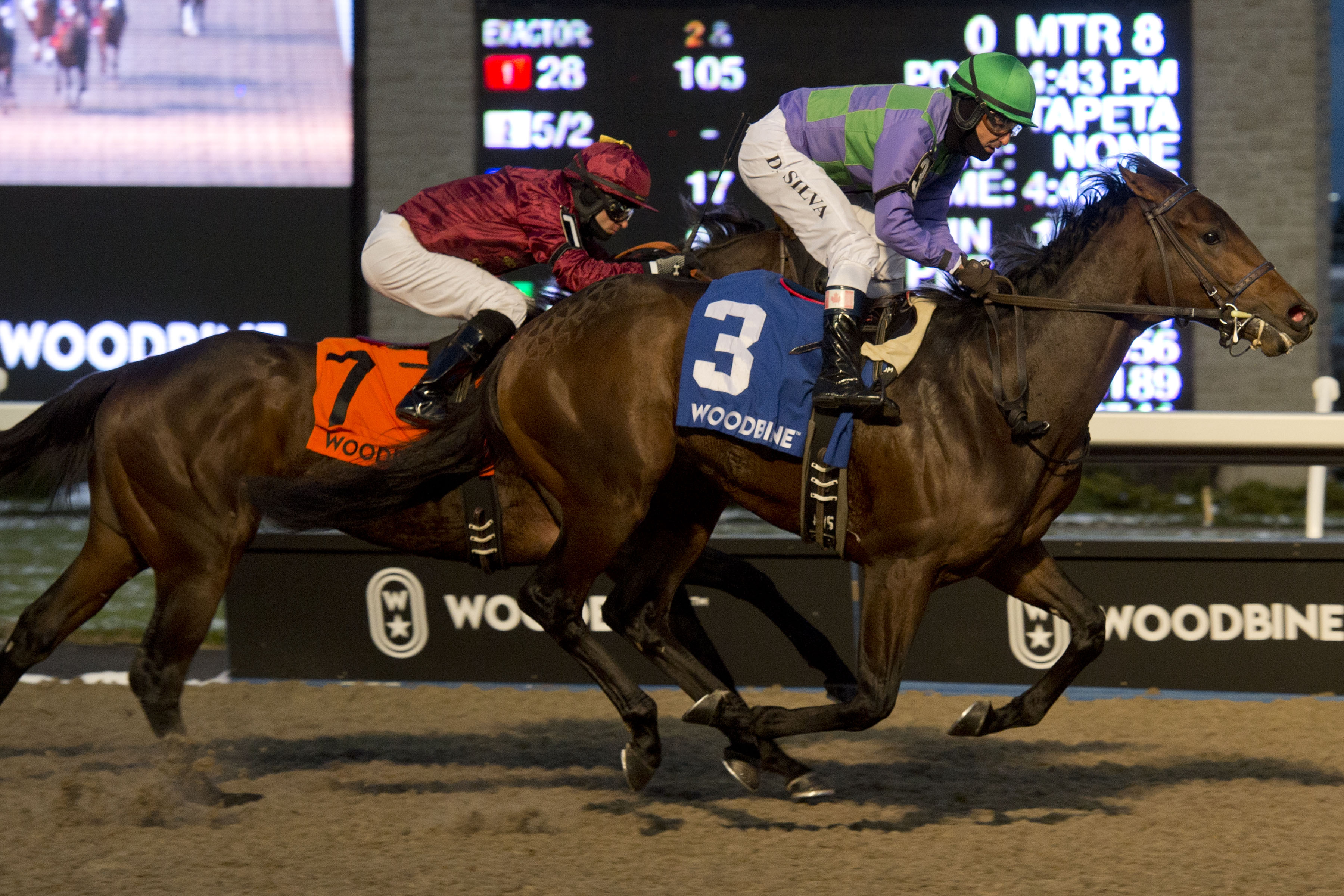 Avie's Flatter named 2019 Queen's Plate Winterbook favourite