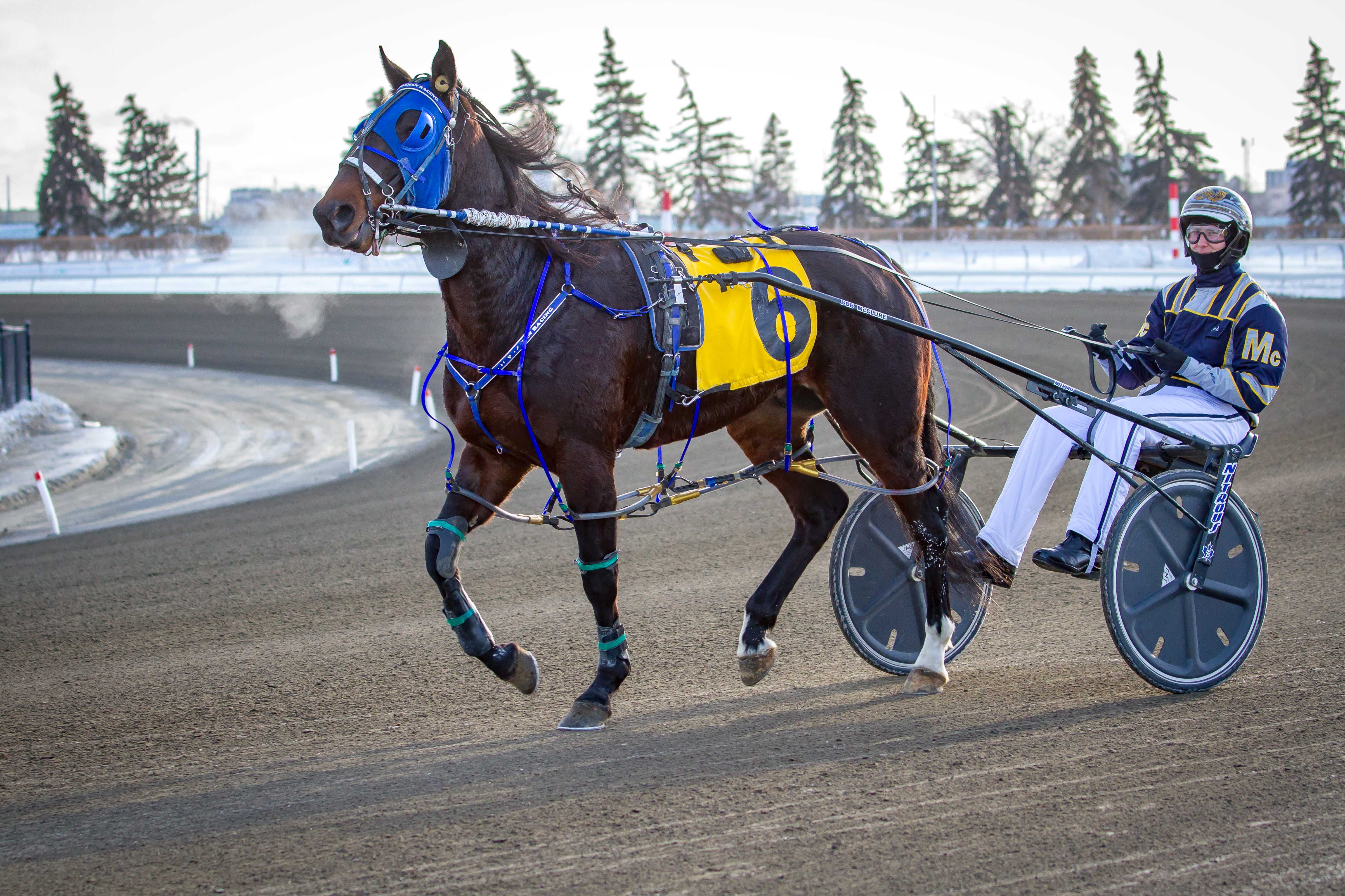 Ontario Racing Trivia Contest: Week 7