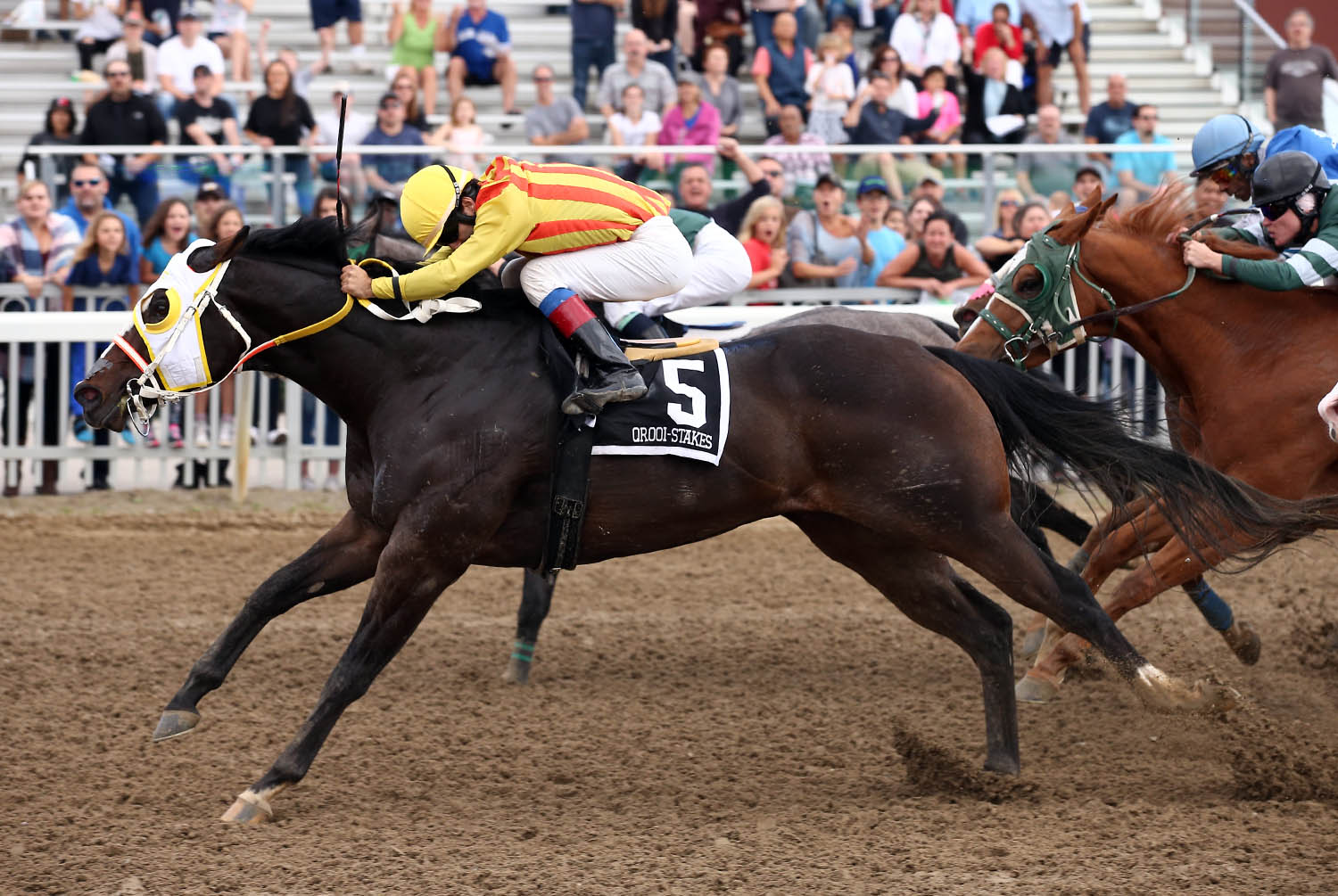 Big stars shine on big stakes day at Ajax Downs
