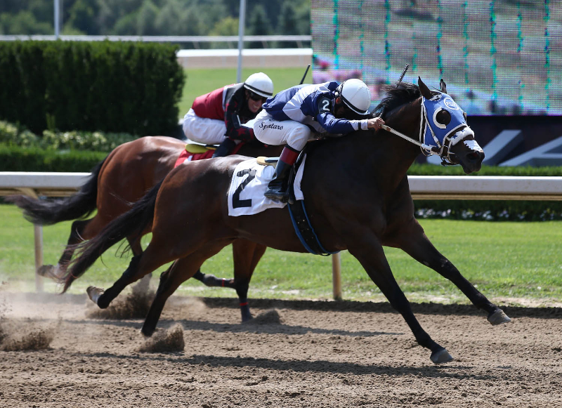 Incredible six-win day for jockey Cory Spataro