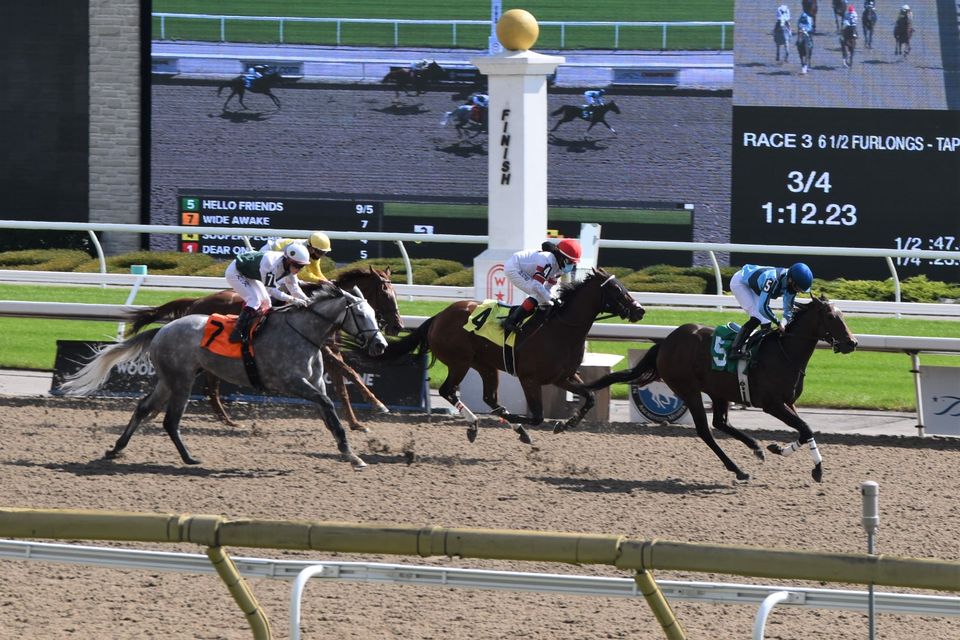Jennifer Morrison’s Woodbine Thoroughbred Selections: Sunday, November 8, 2020