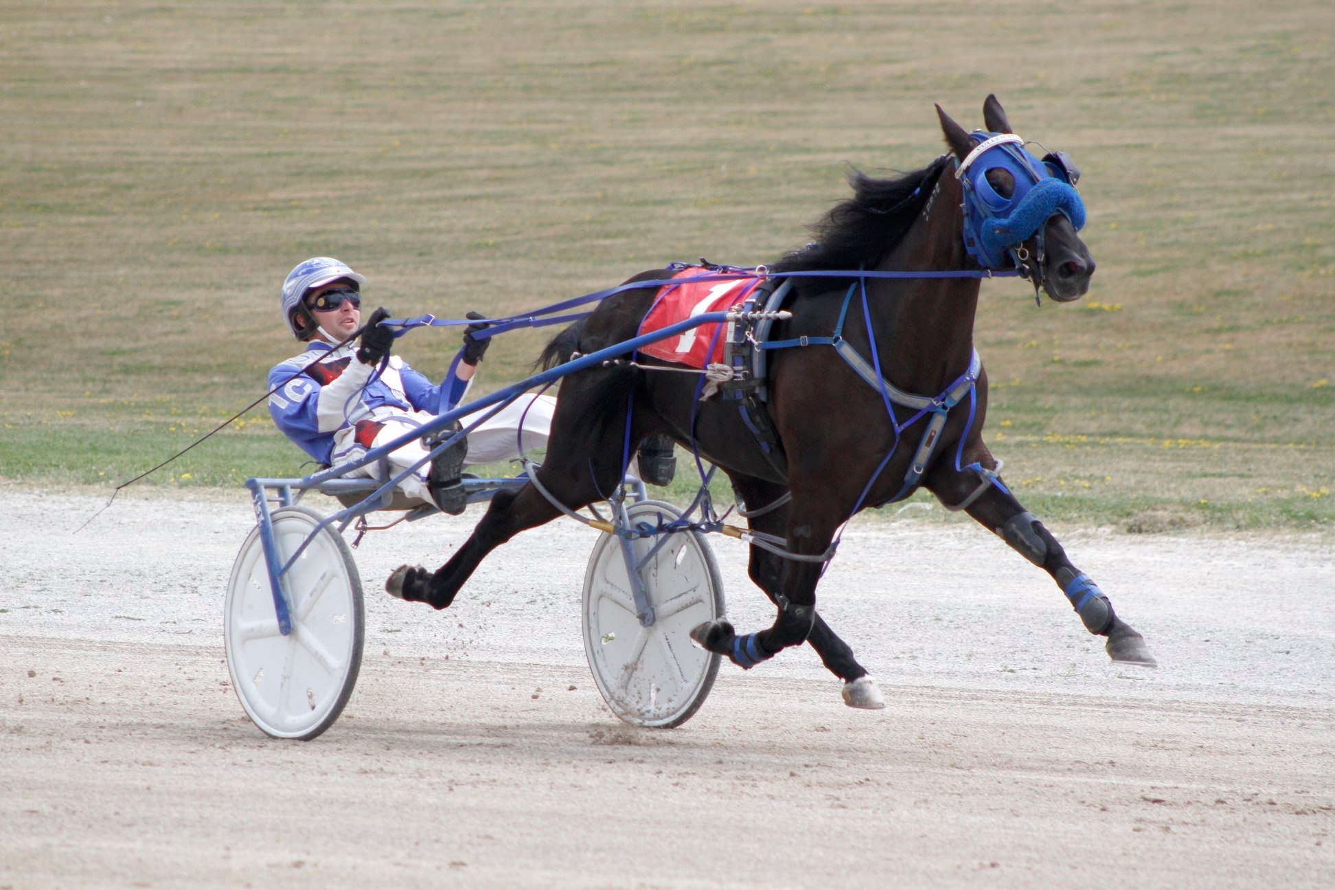 Michael Carter’s Grand River Raceway Selections: Friday, July 31, 2020
