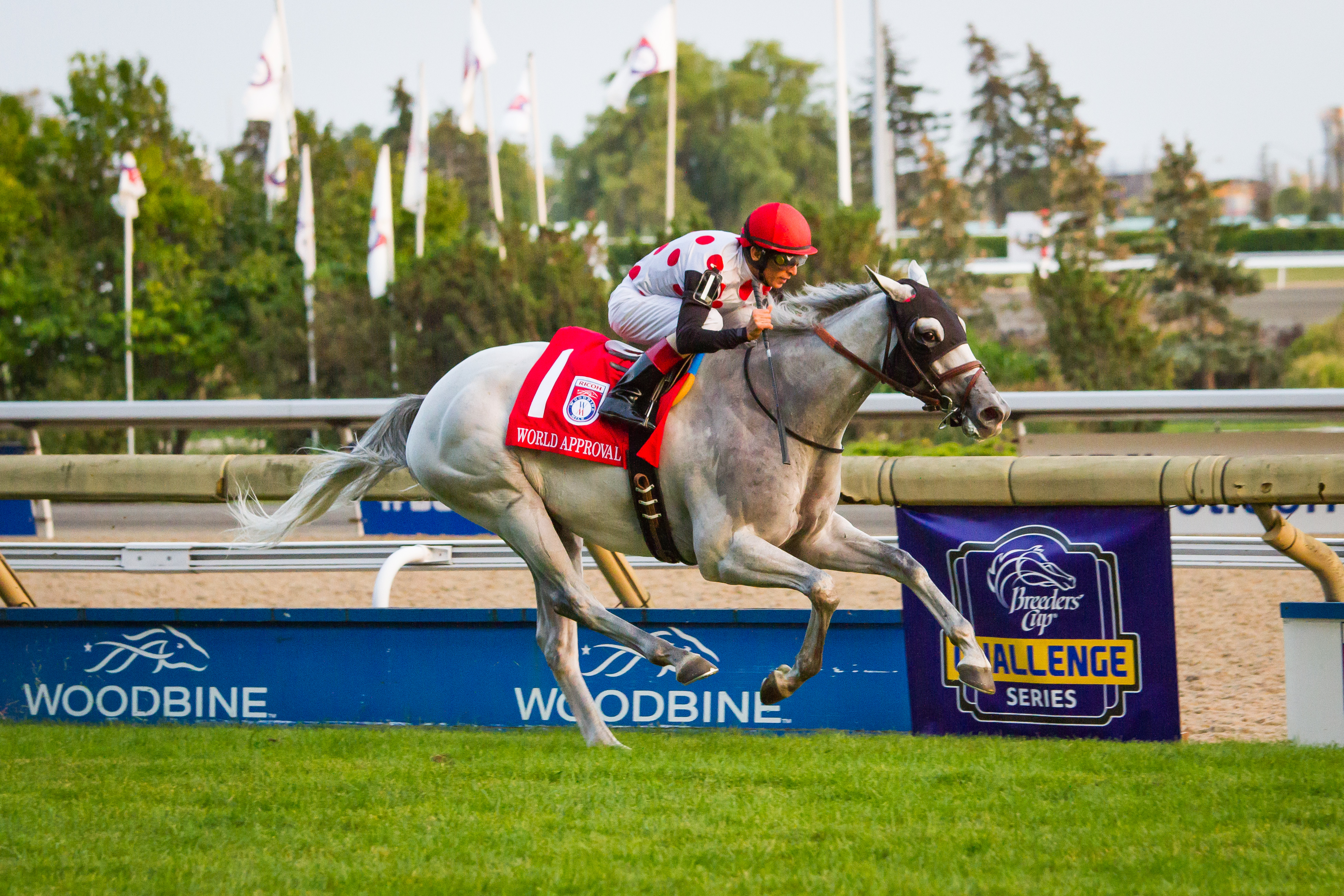 Photo: World Approval - To the Cup