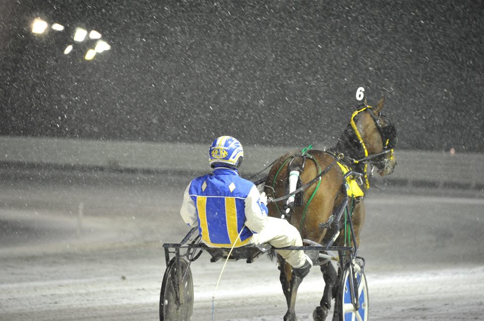 Melissa Keith’s Rideau Carleton Selections: Tuesday, February 16, 2021
