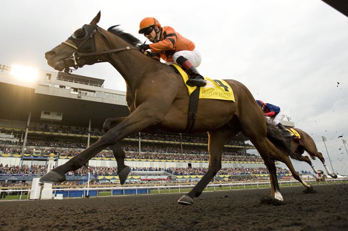 Queen’s Plate winning rider Stein to retire 