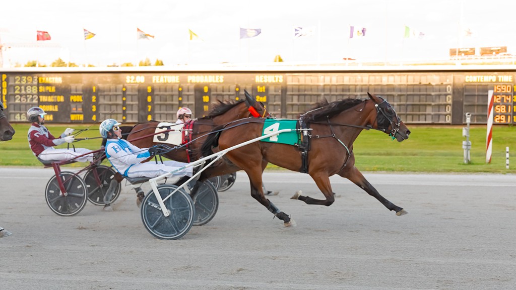 OSS Grassroots, Prospect Series races added extra excitement to Earl Rowe Memorial Trot night at Georgian Downs