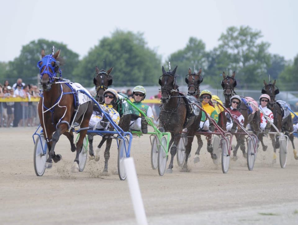 Bet Now – Horse Racing | Ontario Racing - Ontario Racing