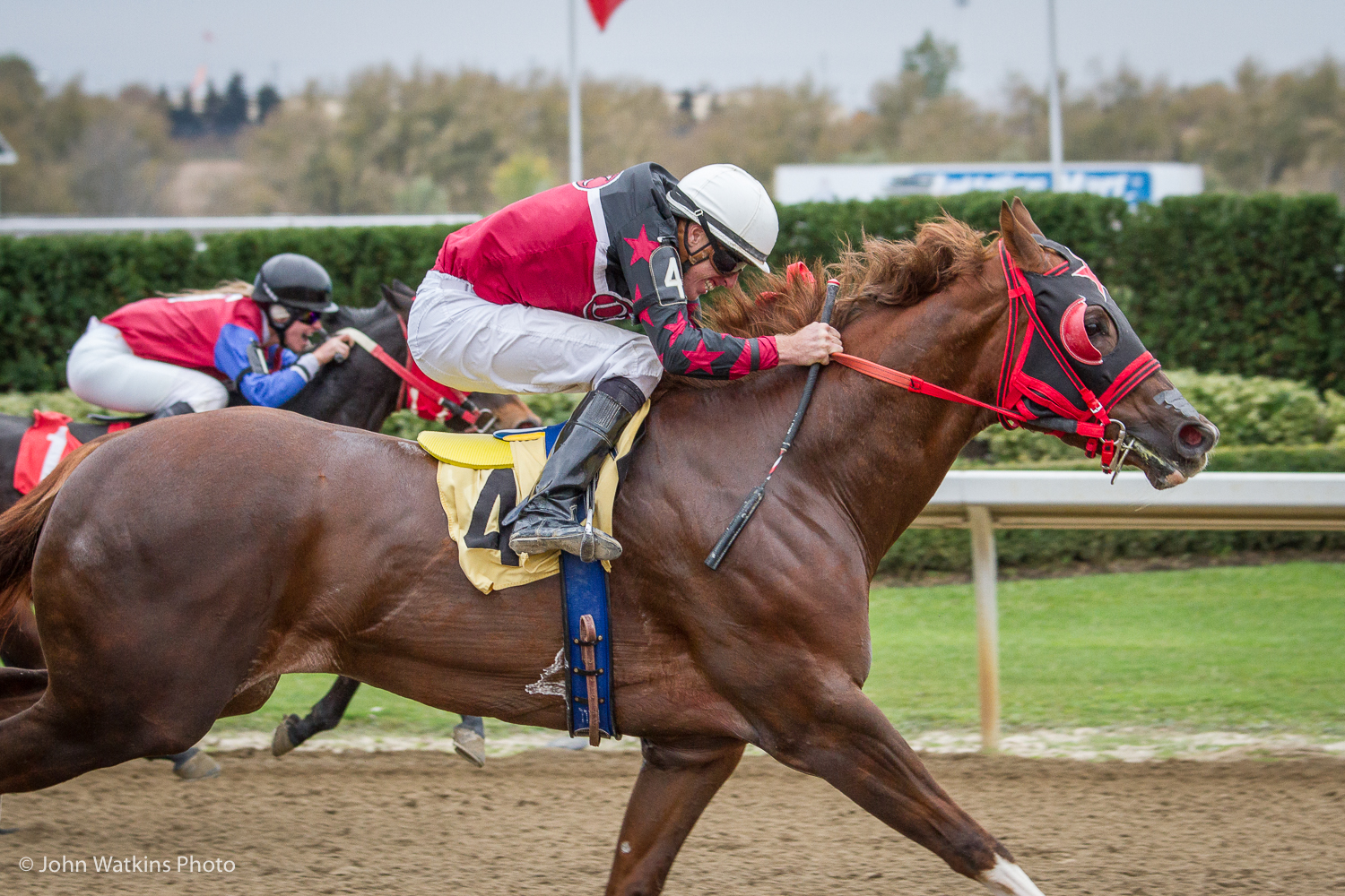 QROOI 2017 Awards Banquet set for Saturday, February 17 