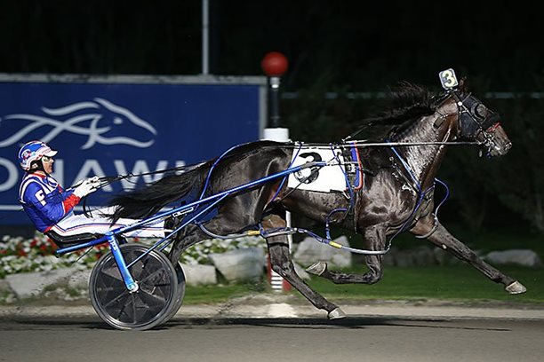 Freshman pacing colts put on Grassroots speed show at Mohawk