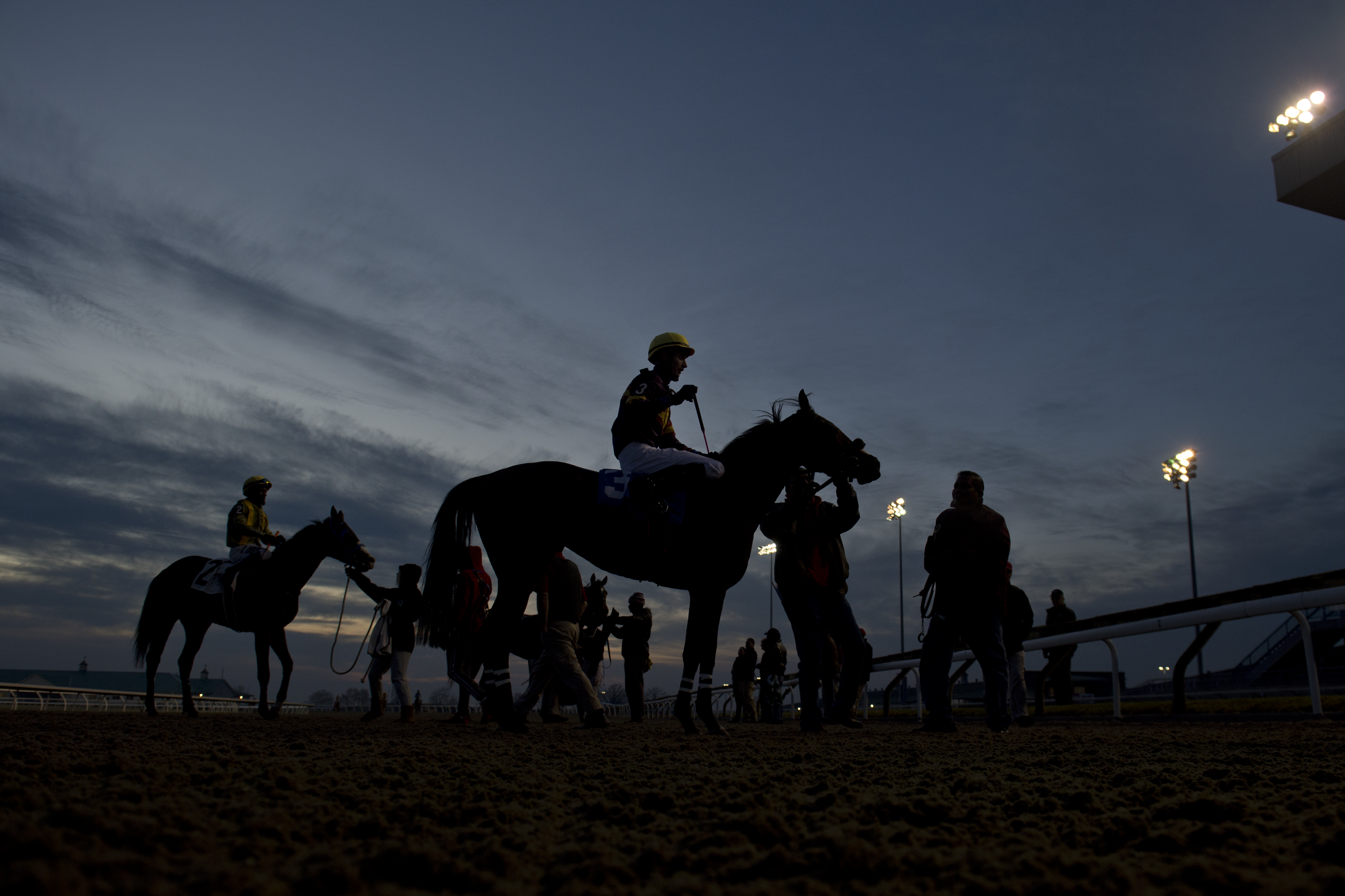 Woodbine Update on Friday Training and Workouts