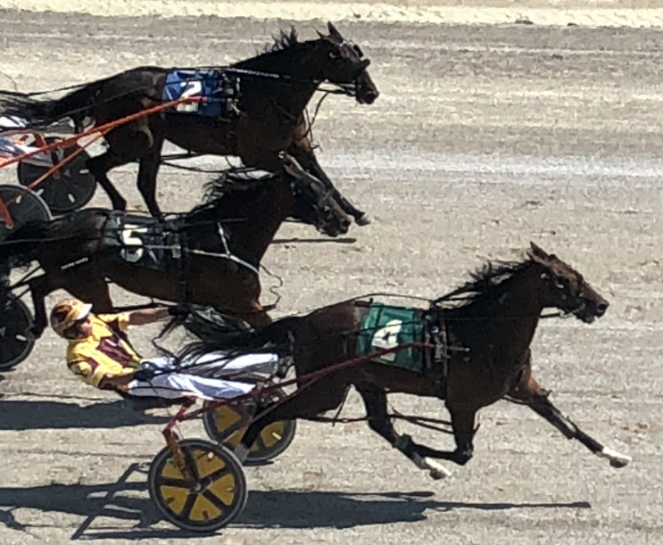 Premier Rockstar Wins Austin Memorial Pace
