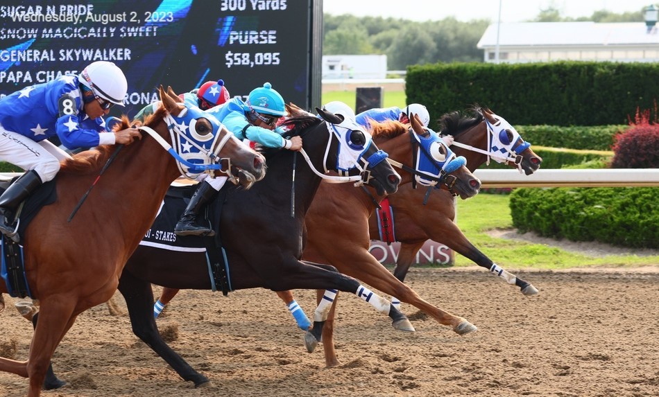 Quarter Horses back at Ajax Downs for 2024 season