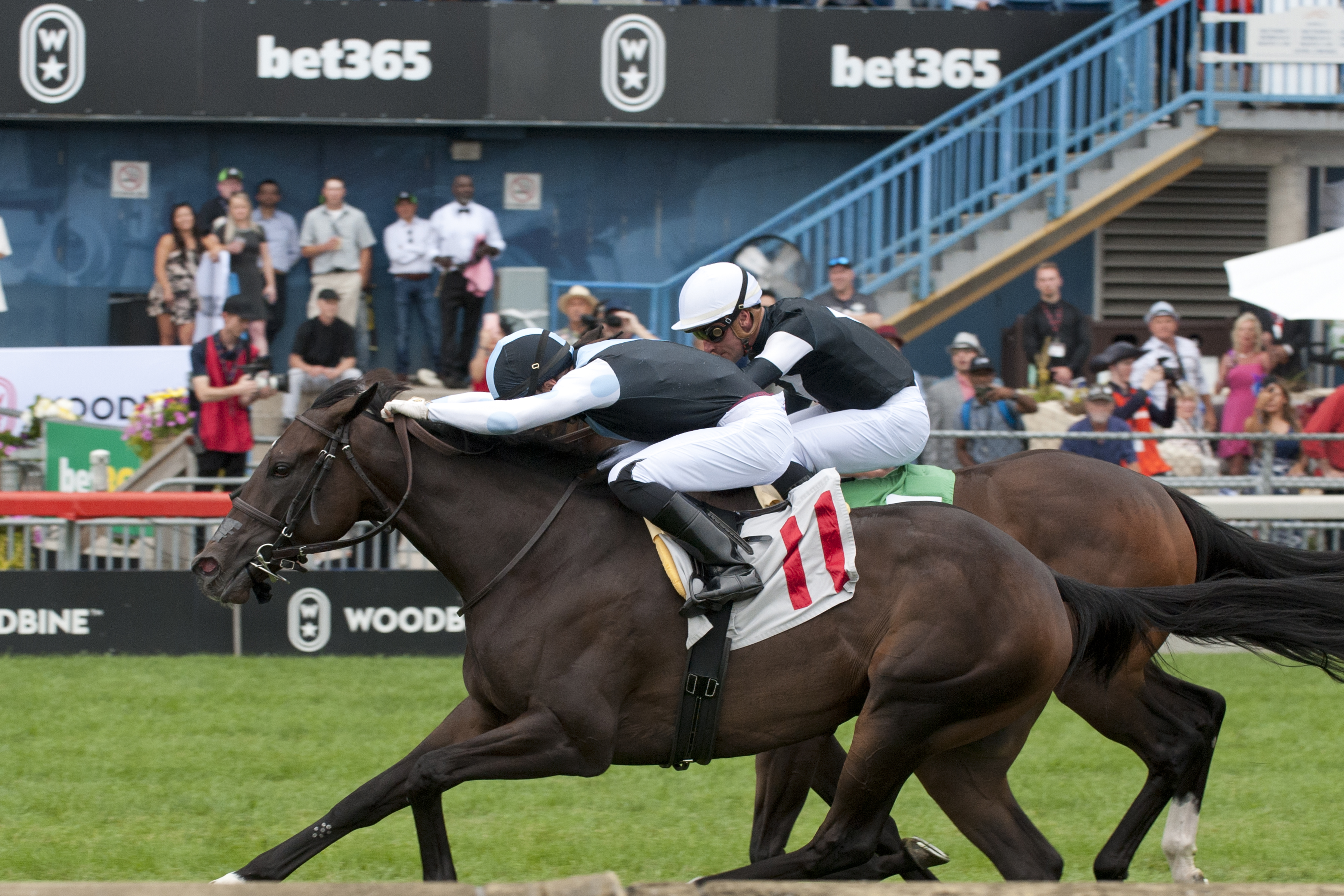 Golden Canary and jockey Sahin Civaci winning the Soaring Free Stakes on August 20, 2023 at Woodbine (Michael Burns Photo)