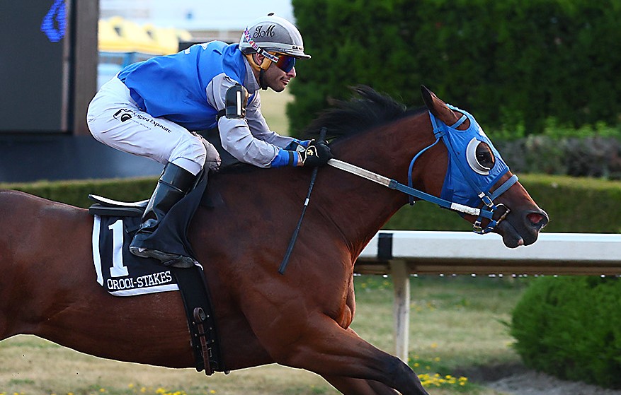 Had to Be Fabulous (Ismael Mosqueira) winning the Ontario Bred Derby - July 2, 2025