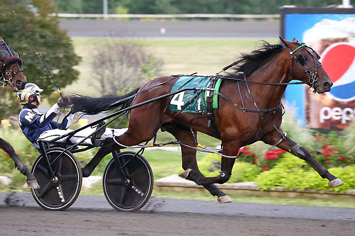 Star two-year-olds have taken owners on a thrill ride