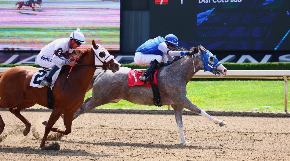 How to bet two-year-olds from Trials to Final at Ajax Downs