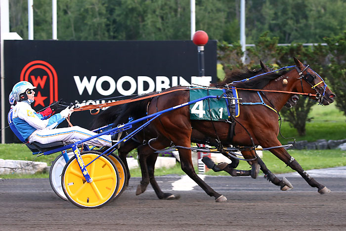 Talented pacing fillies go head-to-head in Grassroots opener