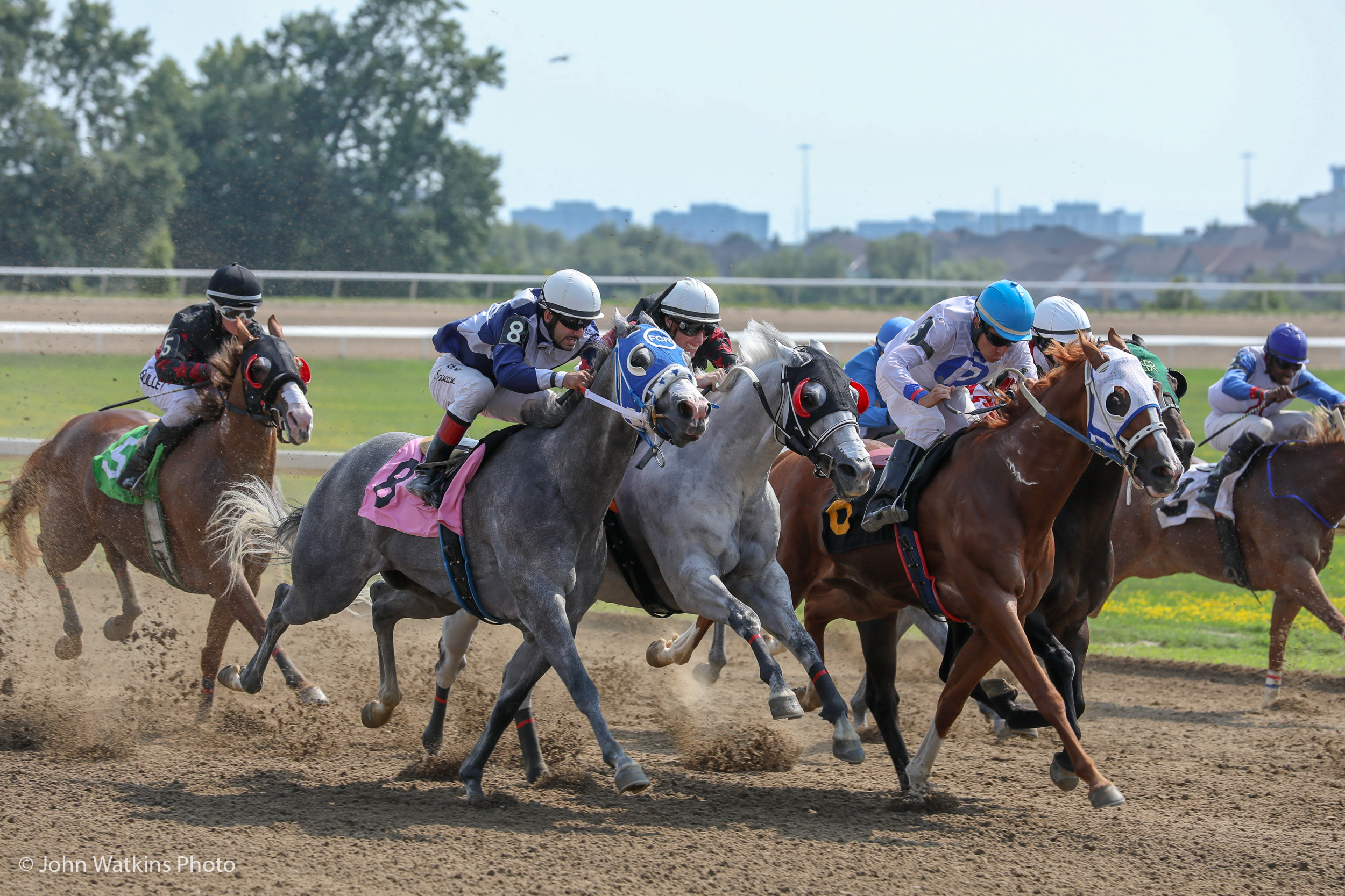 Handicapping Quarter Horse Racing