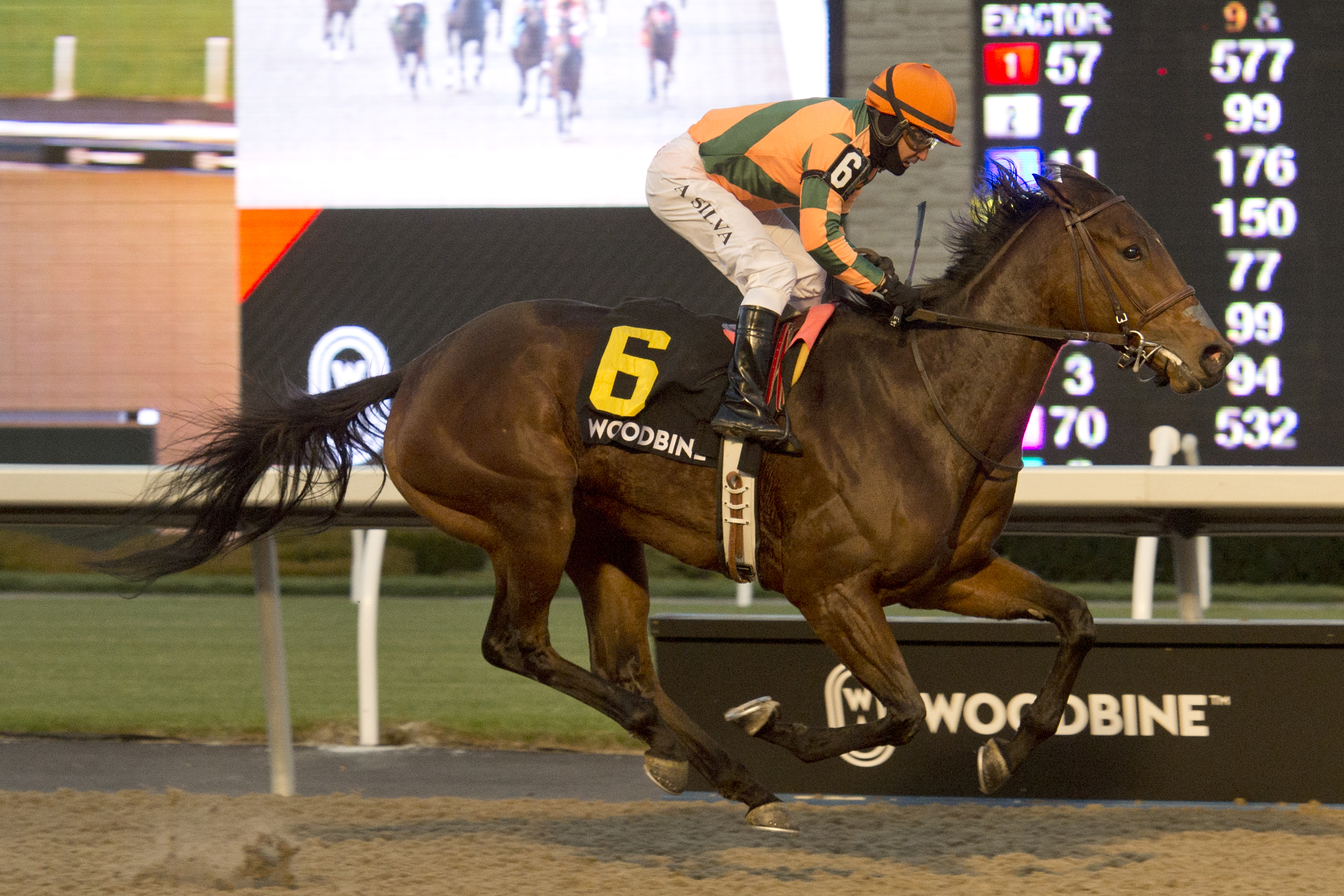She’s the Berries the pick of the La Prevoyante crop