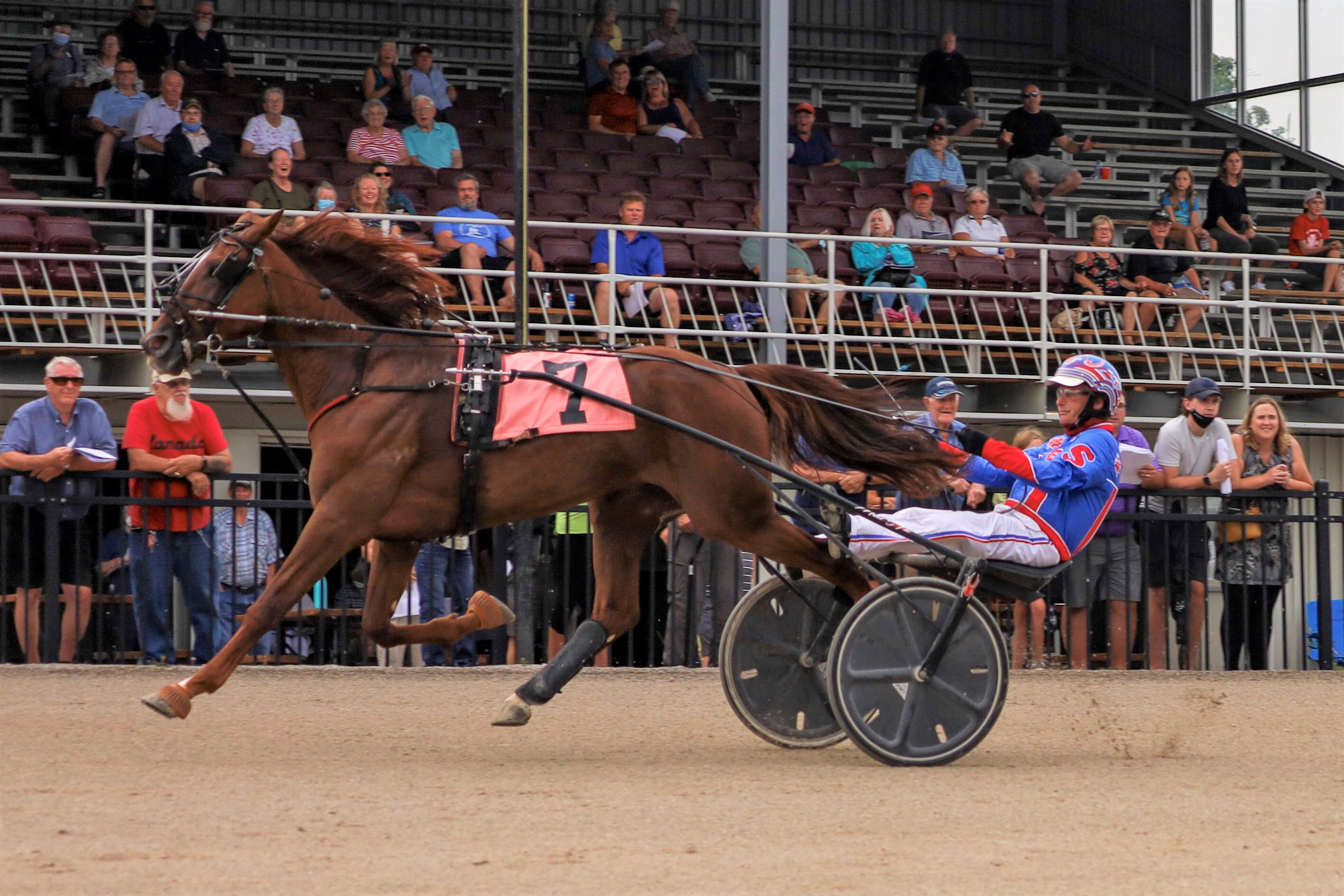 Garnet Barnsdale's Flamboro Downs Selections: Sunday, November 21, 2021
