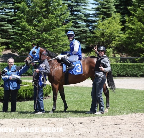 Betting strategies for fresh two-year-olds at Ajax Downs