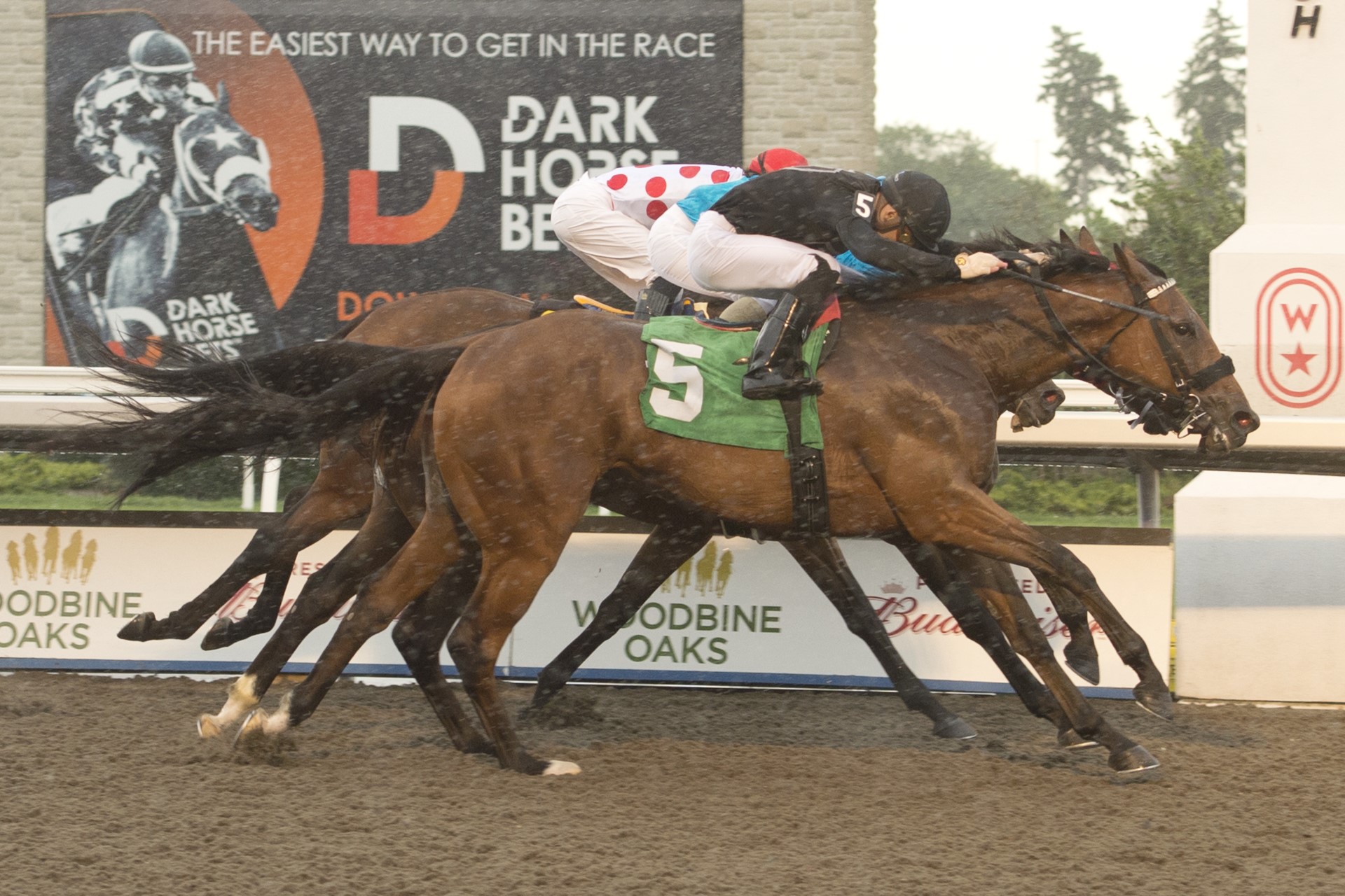 Il Malocchio by A Head in Thrilling Renewal of Trillium Stakes