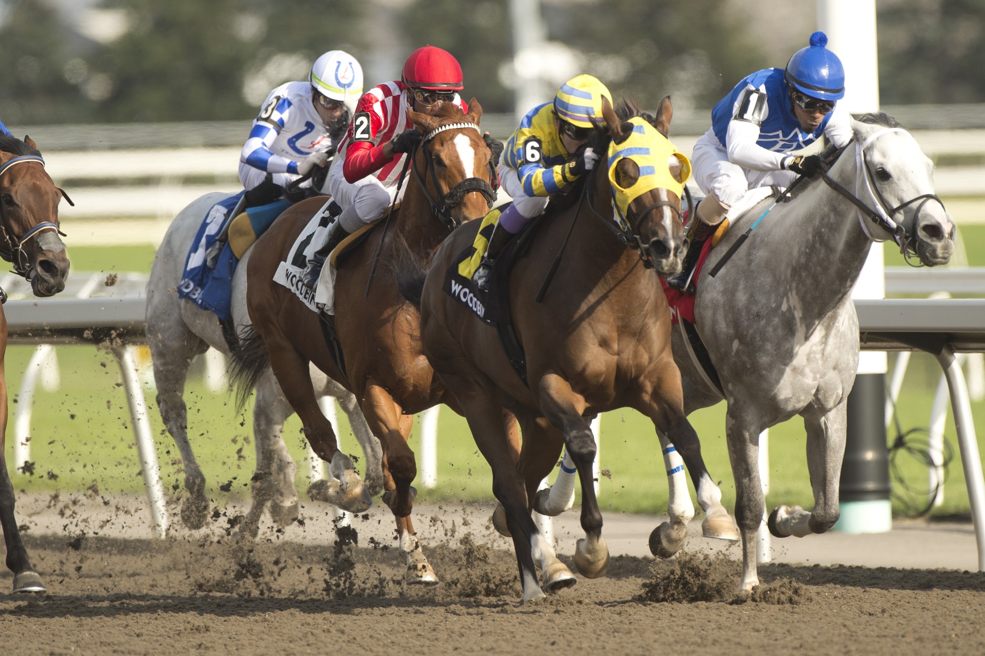 Patches O’Houlihan Guts Out G3 Vigil Stakes Score