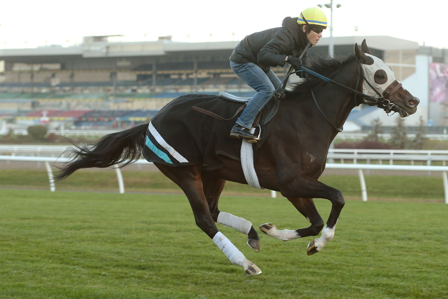 Mighty Heart chases OLG Canadian Triple Crown champion history in Breeders’ Stakes