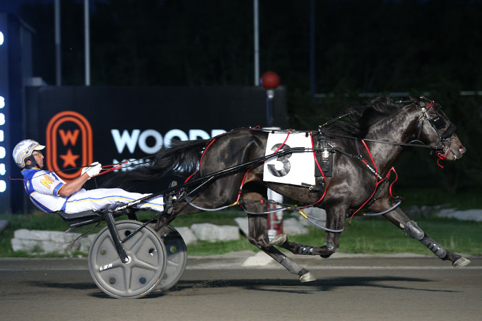 Grassroots stars put Steacy on path to third Johnston Cup