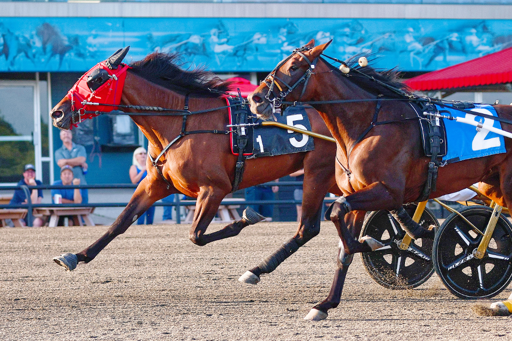 Two-year-old trotters grab OSS gold at Woodbine Mohawk Park