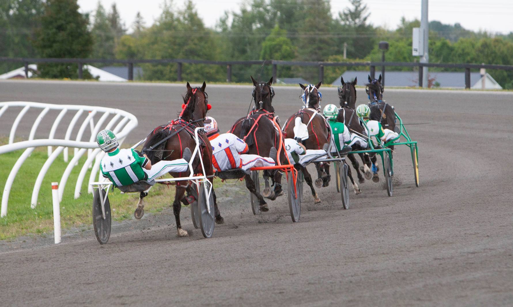 Garnet Barnsdale’s Kawartha Downs Selections: Saturday, September 11, 2021
