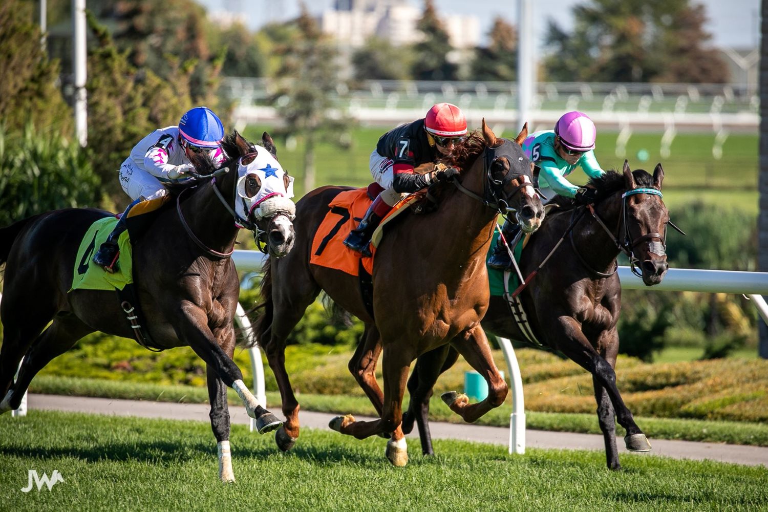 Jennifer Morrison’s Woodbine Thoroughbred Selections: Friday, October 15, 2021