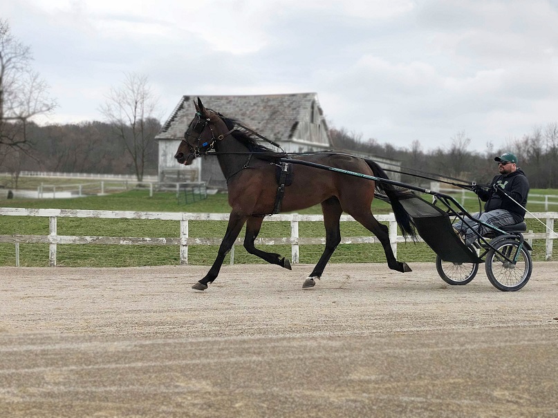 Yes sets world record over Northfield Park for TheStable.ca